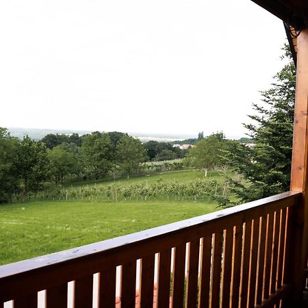 Apartma-Spa Natura Sveti Jurij ob Scavnici Екстериор снимка