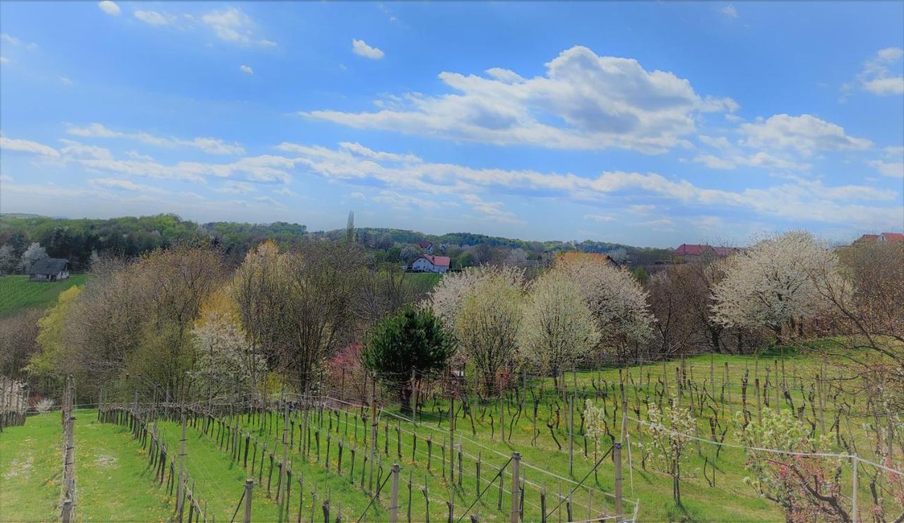 Apartma-Spa Natura Sveti Jurij ob Scavnici Екстериор снимка