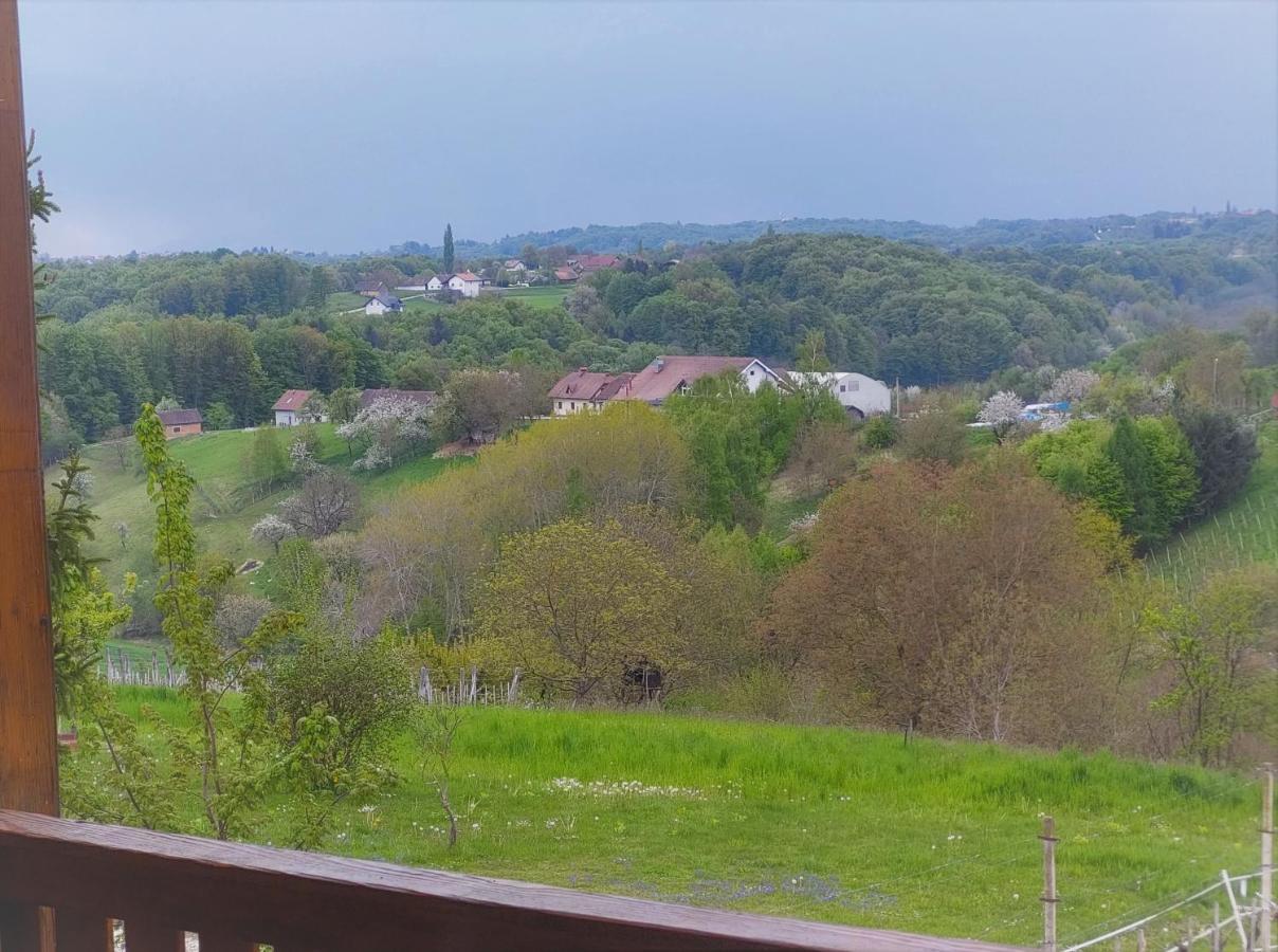 Apartma-Spa Natura Sveti Jurij ob Scavnici Екстериор снимка